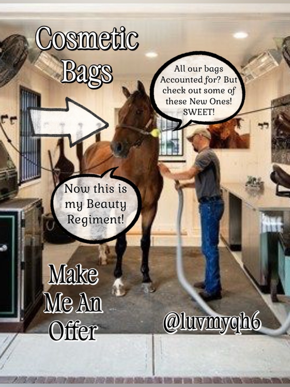 Variety of Cosmetic Bags